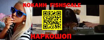 индика Камень-на-Оби