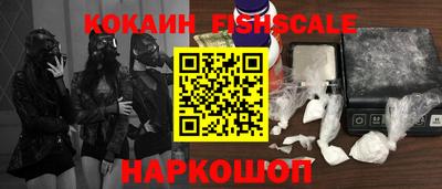 индика Камень-на-Оби