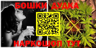индика Камень-на-Оби