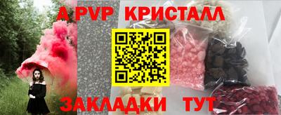 индика Камень-на-Оби