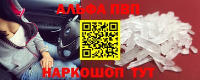 индика Камень-на-Оби