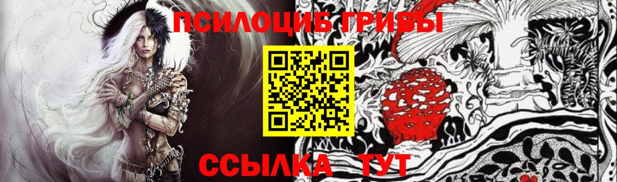 Курск  купить наркоту  Вход с VPN  Псилоцибиновые грибы Magic Shrooms 