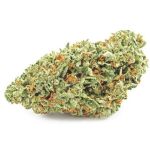 Шишки OG Kush  (Гидропоника, бошки) VHQ в Курске